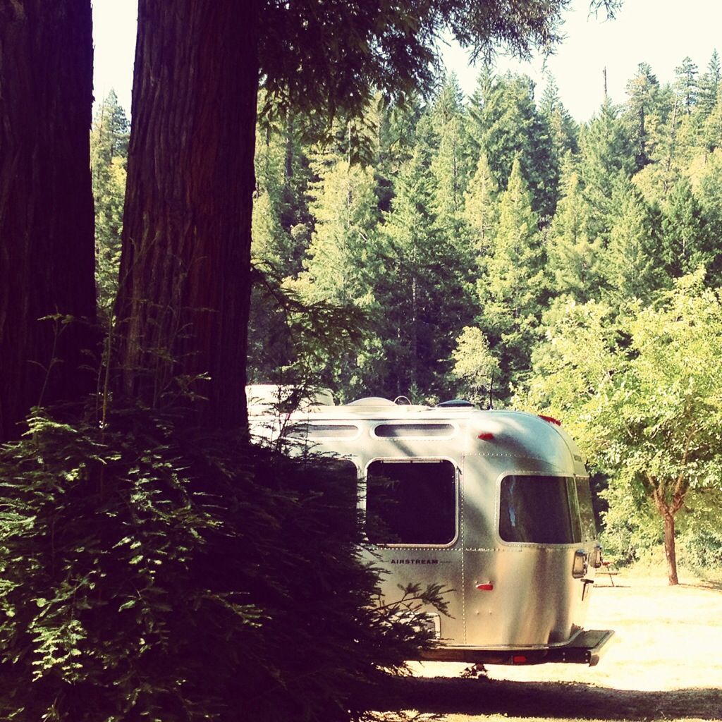 top 99+ Pictures avenue of the giants stafford rv park and campground Stunning