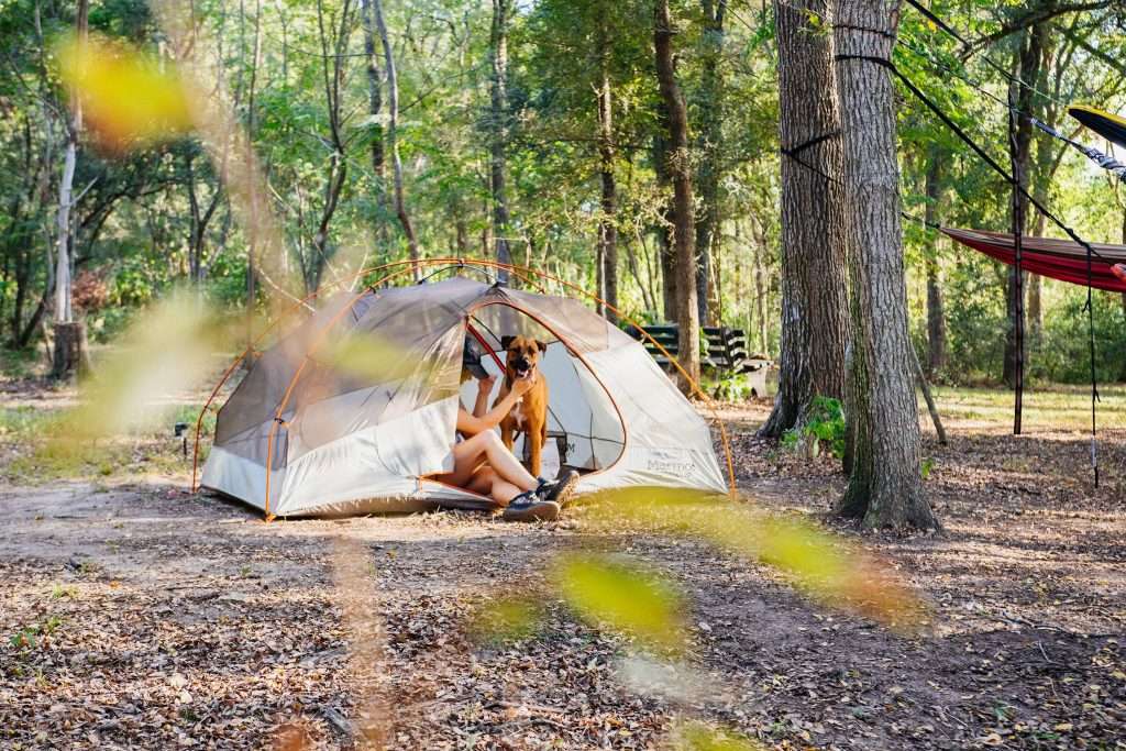 places-to-go-camping-for-free-campingproclub